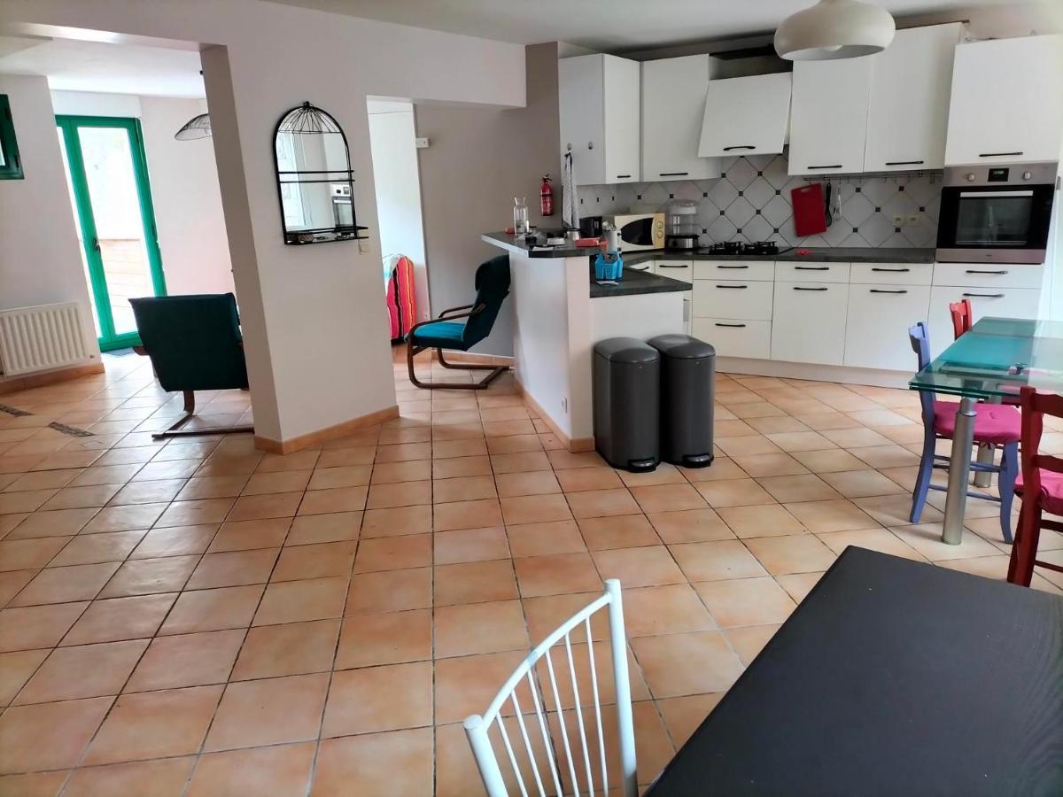 Appartement Au Centre Ville Avec Un Beau Jardin Prive Lannion Eksteriør billede